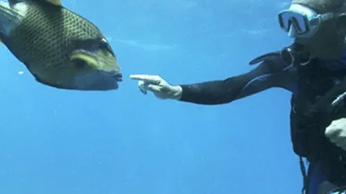 Bons baisers de l'île Maurice