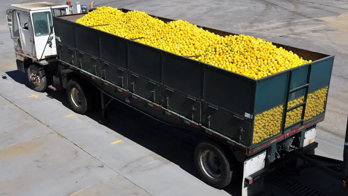 Borderforce USA : the Bridges