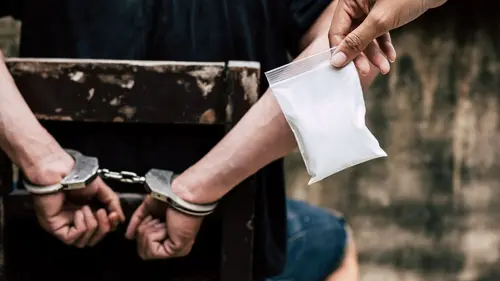 Borderforce USA : the Bridges