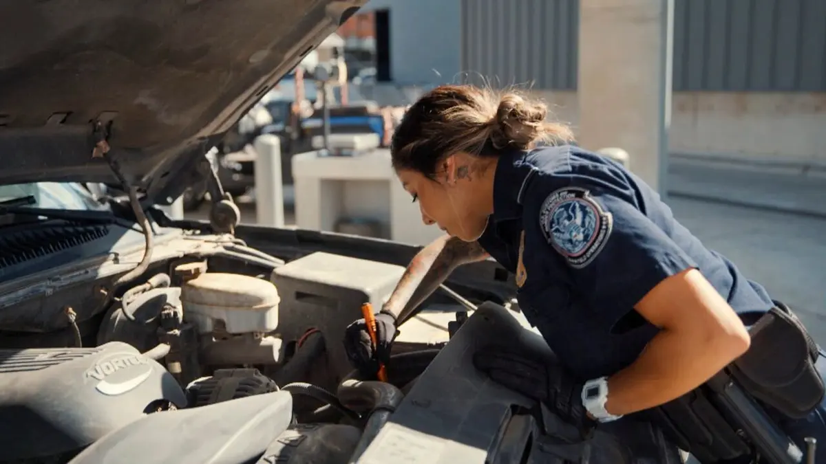 Borderforce USA : the Bridges