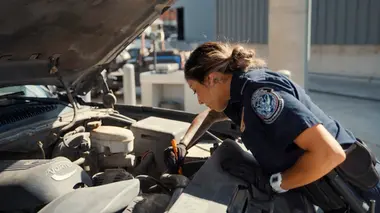 Borderforce USA : the Bridges