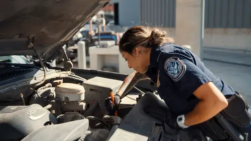 Borderforce USA : the Bridges