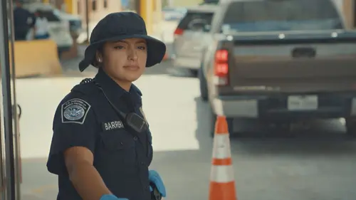 Borderforce USA : the Bridges