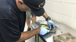 Borderforce USA : the Bridges