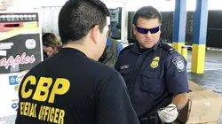 Borderforce USA : the Bridges