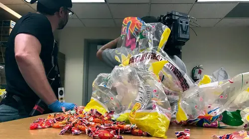 Casting Borderforce USA : the Bridges Voyageurs suspects