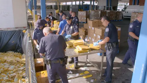 Borderforce USA : the Bridges La lutte contre les cartels