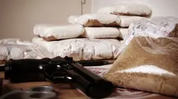 Borderforce USA : the Bridges