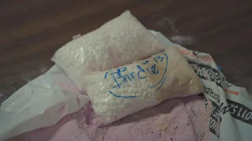 Borderforce USA : the Bridges