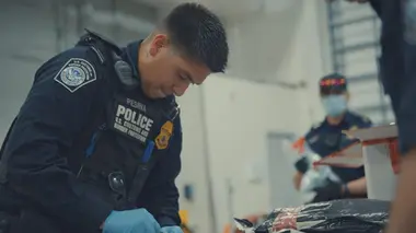 Borderforce USA : the Bridges