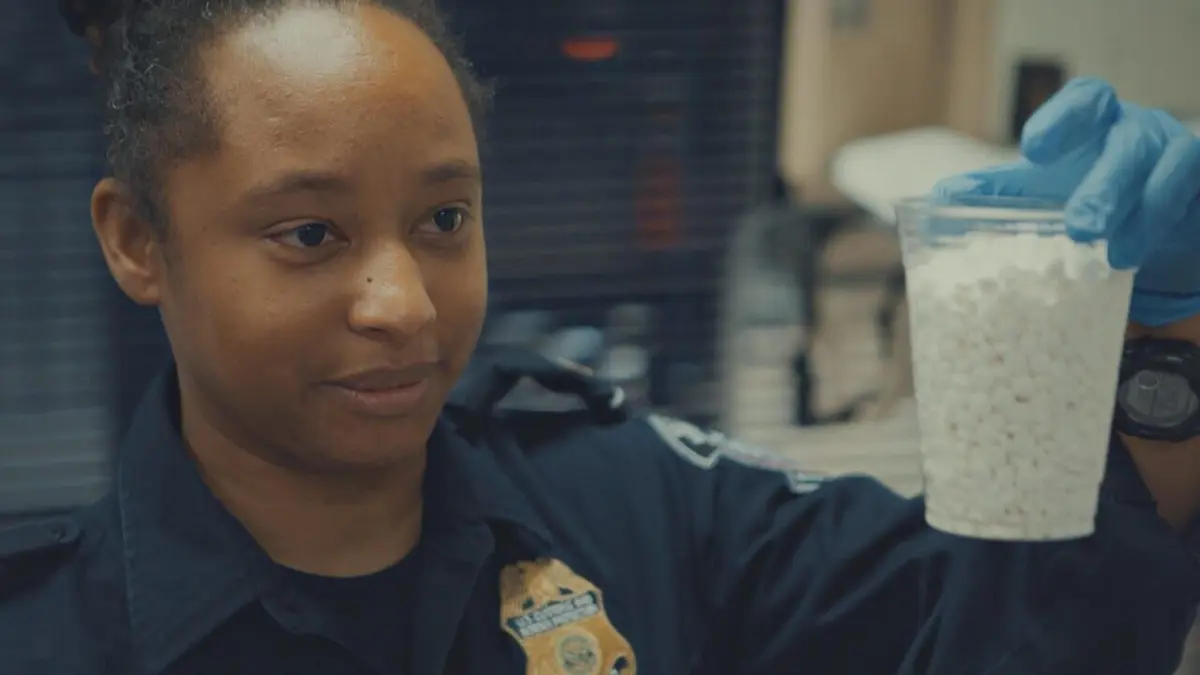 Borderforce USA : the Bridges