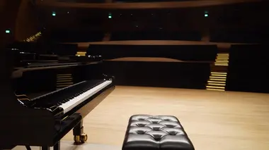 Boris Pergamenschikow, Elena Bashkirova, Maxim Vengerov - Brahms: Trio avec piano n° 3