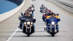 Sur Discovery Channel à 23h20 : Born To Be Wild