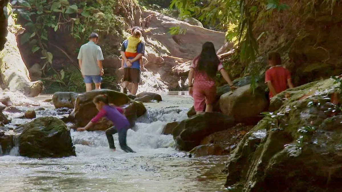 Bornéo : Des sarbacanes contre les bulldozers