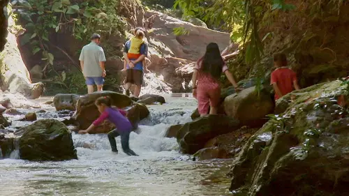 Bornéo : Des sarbacanes contre les bulldozers