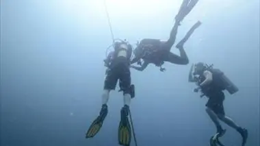 Bornéo grandeur nature