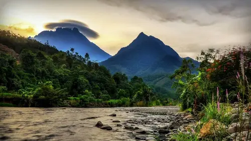 Bornéo : l'Eden sauvage