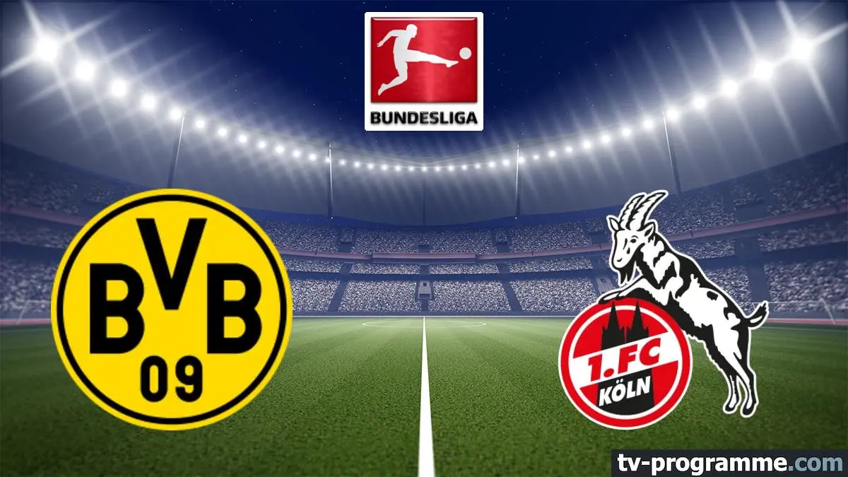 Borussia Dortmund / Cologne Football Bundesliga 2025-2026