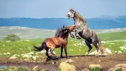 Bosnie-Herzégovine Le Sud minéral