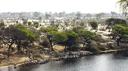 Visuel de Boteti, la rivière fantôme
