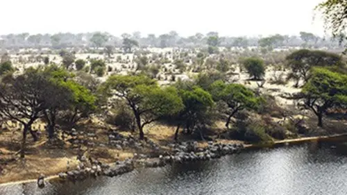Boteti, la rivière fantôme