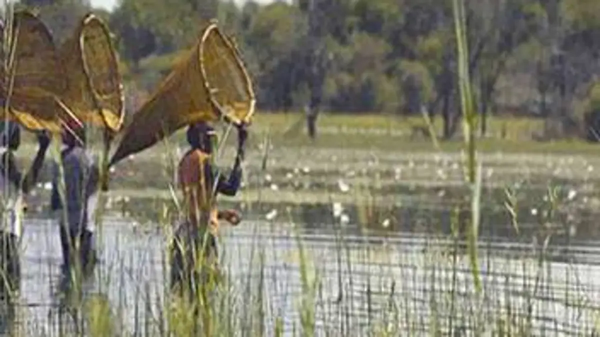 Botswana, la route de l'eden