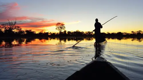 Botswana, le berceau sauvage S01E01 La nouvelle génération