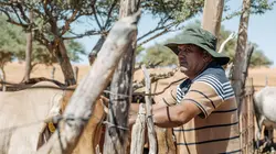 Visuel de Botswana : Vivre avec les lions
