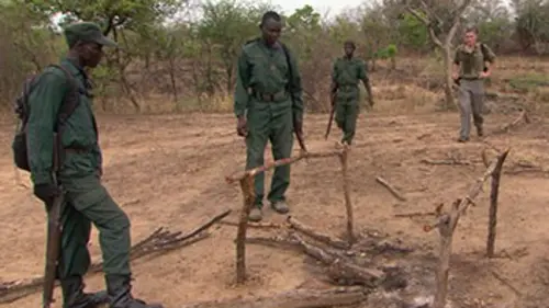 Boubandjida, au coeur de la brousse