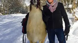 Bougez vert  Best of hiver