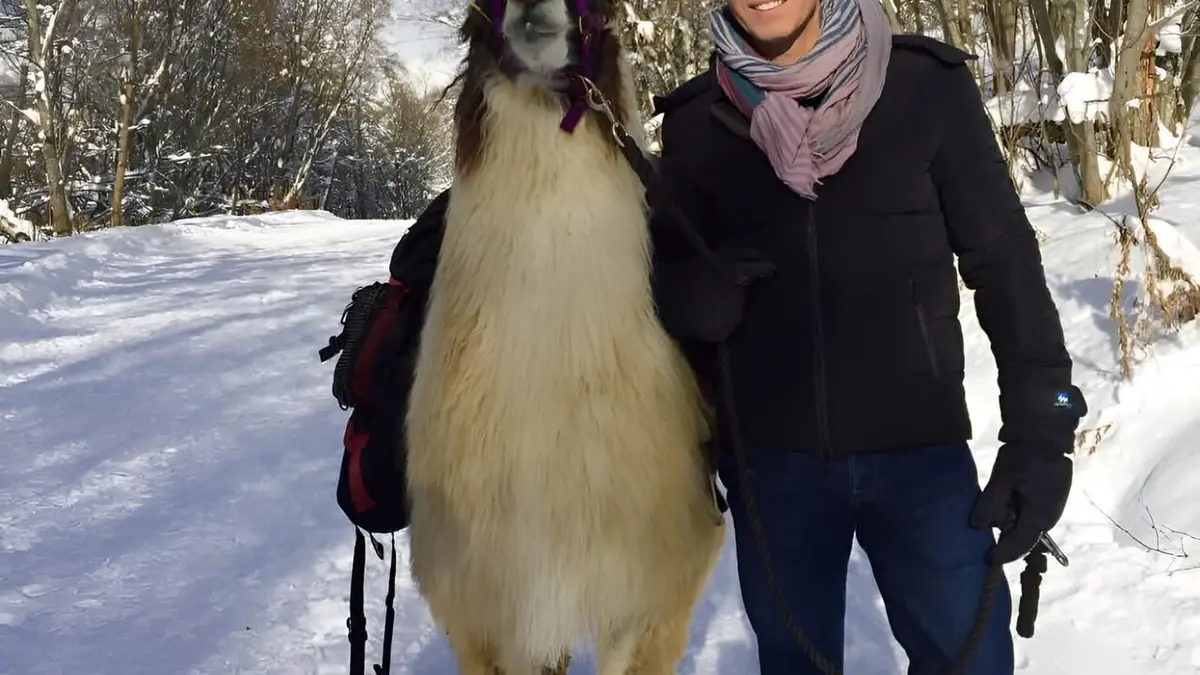 Visuel de Bougez vert Best of hiver