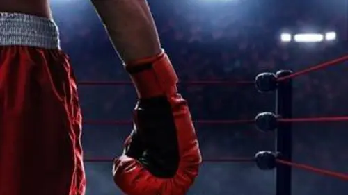 Boxe Soirée No Limit XII 2020