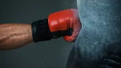 Boxe Mike Tyson Roy Jones Jr. 2020