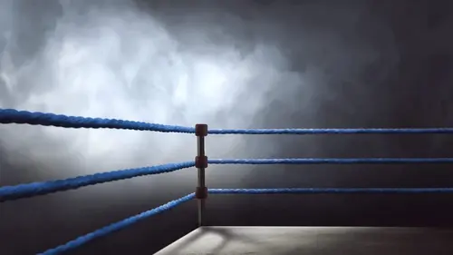 Mikaela Mayer / Sandy Ryan Boxe Boxing 2025