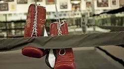 Visuel de Christian Hammer (All) / Tyson Fury (G-B)
