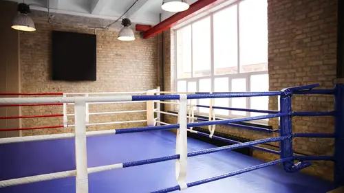 Boxe Championnat du monde de Formule E