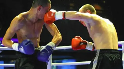 Boxe Championnat du monde IBF/WBO/WBA 2014