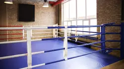 Boxe Floyd Mayweather - Oscar De La Hoya