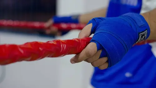 Boxe : IBA Pro Series