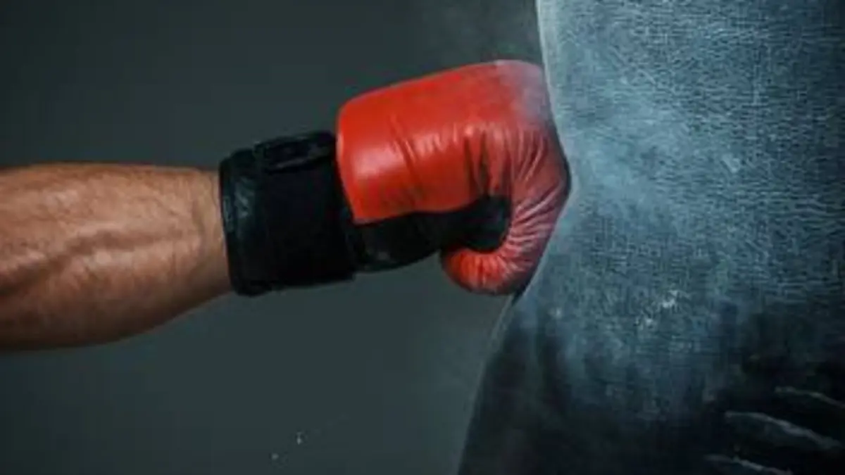 Boxe Mike Tyson Roy Jones Jr. 2020