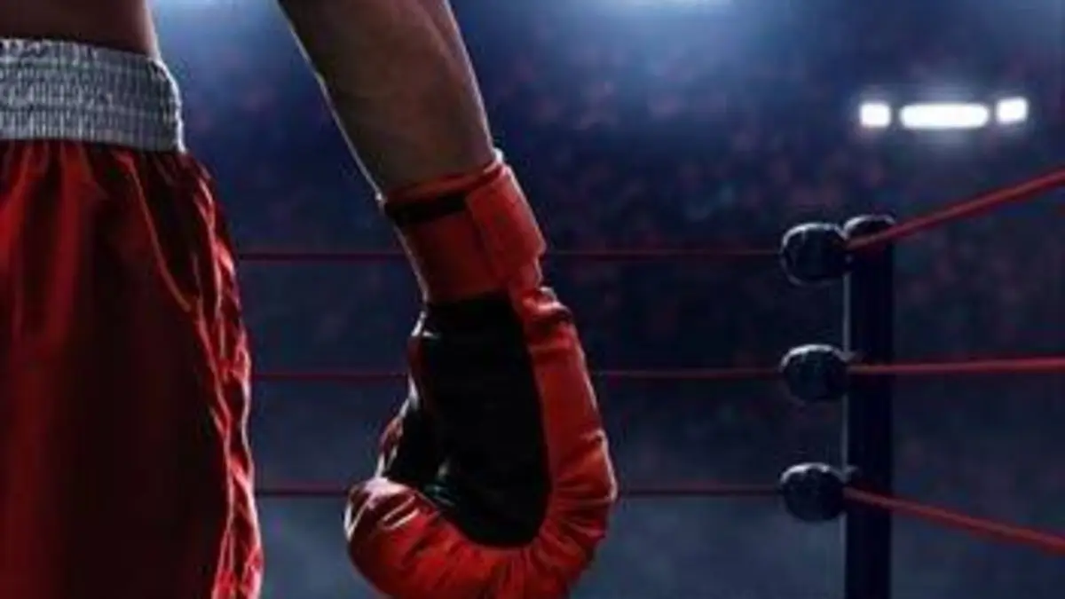 Boxe Soirée No Limit XII 2020