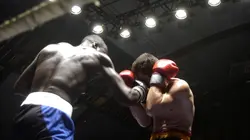 Boxe Super poids coq