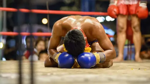 Boxe thaï Lion Belt