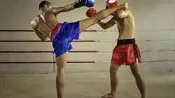 Visuel de Golden Fight 8