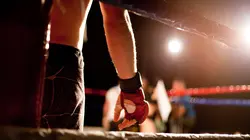 Boxe WBC International