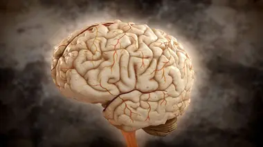 Brain Games C'est l'heure !