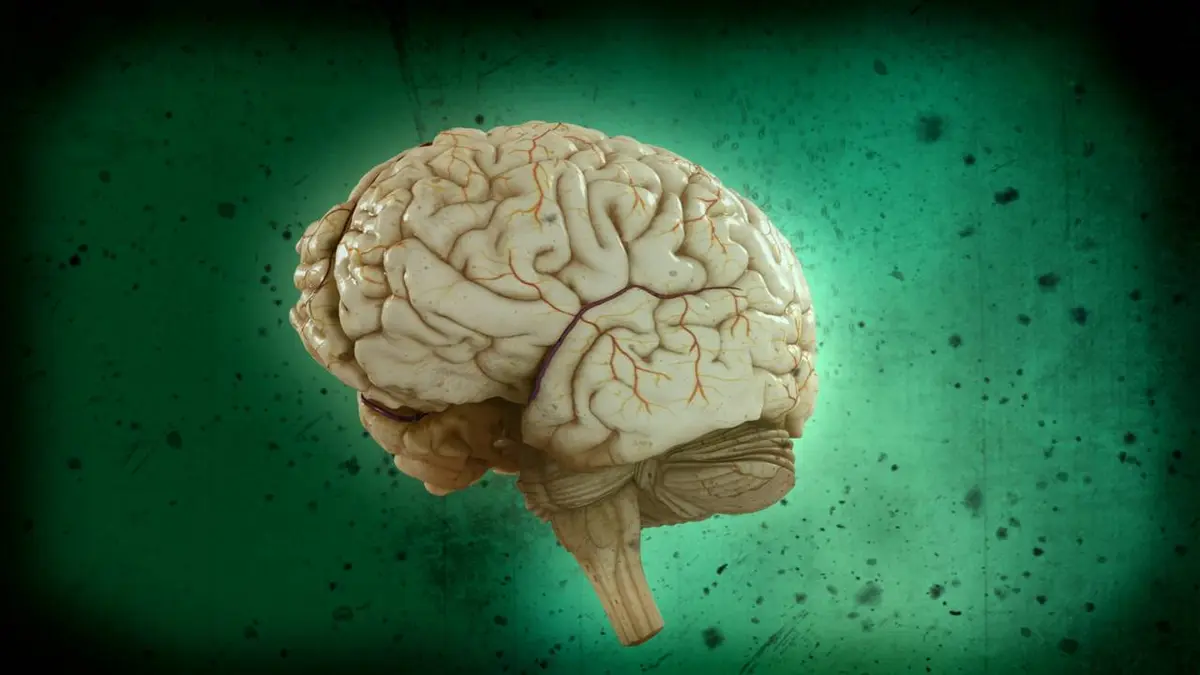 Brain Games : Testez votre cerveau S06E03