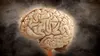 Brain Games : Testez votre cerveau S07E01 La carte du cerveau
