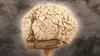 Brain Games : Testez votre cerveau S02E08 Voir c'est croire