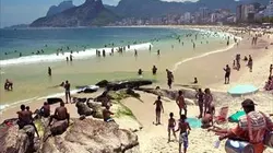 Brésil : la Costa Verde